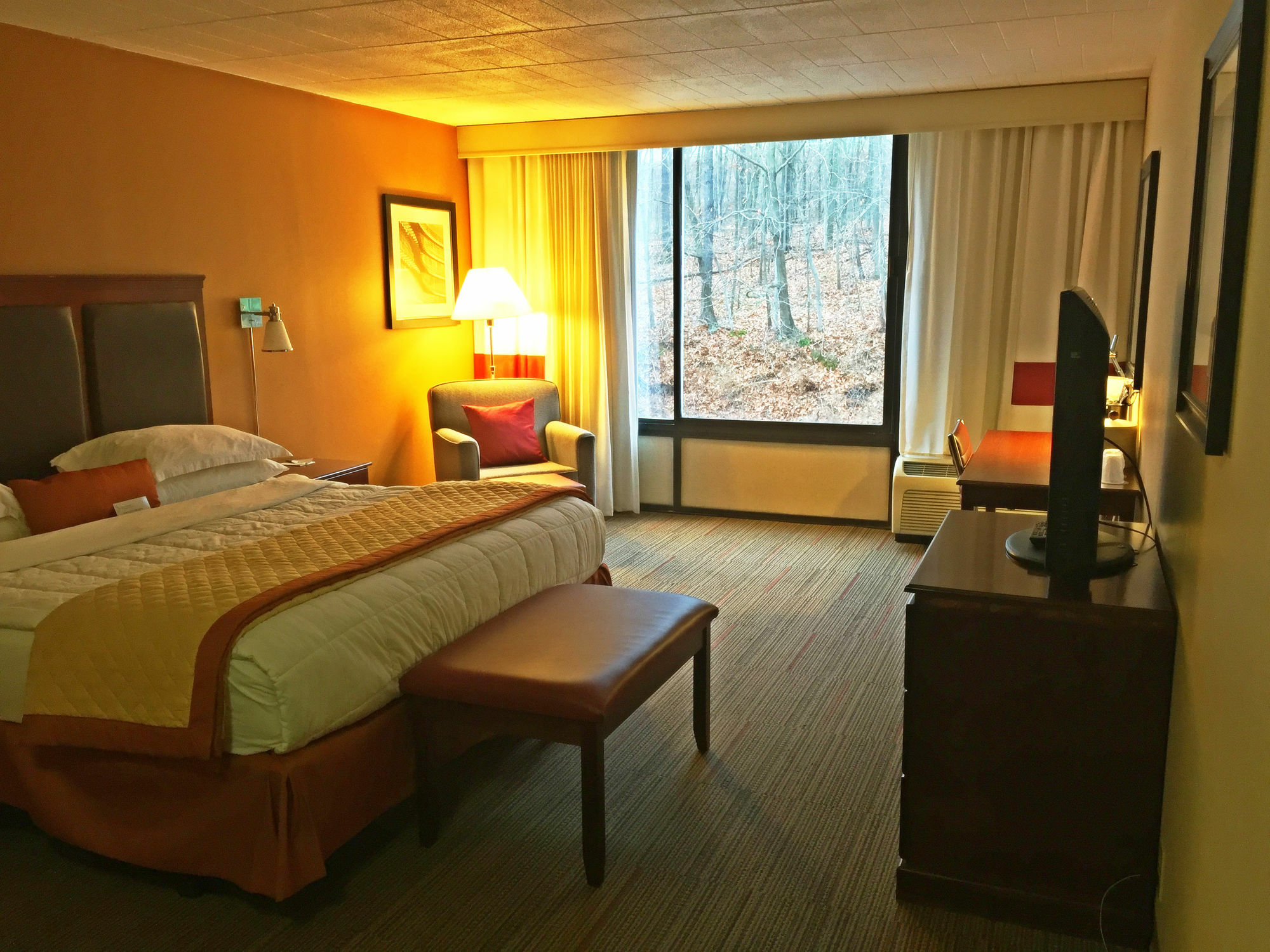 Wyndham Garden Inn Pittsburgh Airport Robinson Township  Luaran gambar